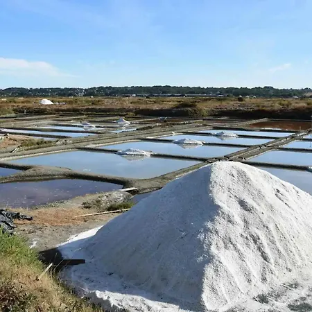 Hébergement de vacances D'exception Avec Piscine, Et Salle De Cinéma à 50m De La Plage, Capacité 14 Pers. - Fr-1-306-1275 La Turballe
